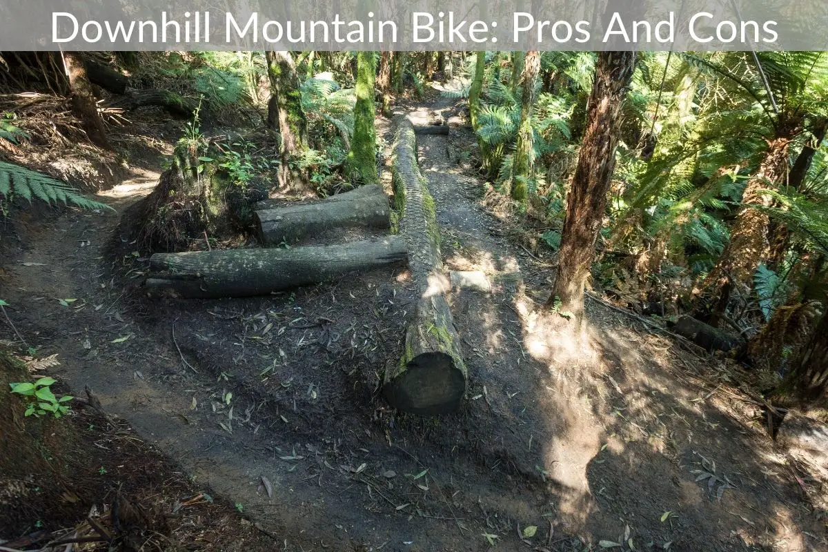 Downhill Mountain Bike: Pros And Cons