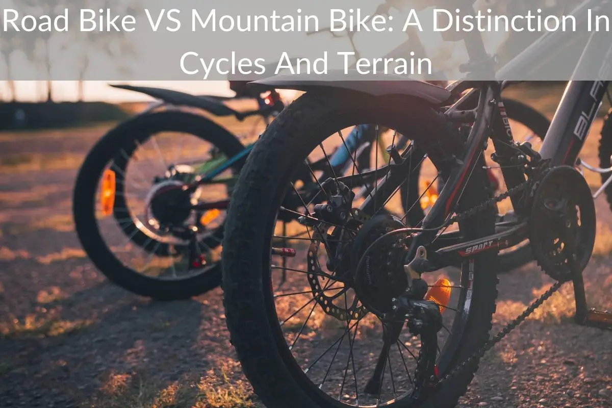 Road Bike VS Mountain Bike: A Distinction In Cycles And Terrain